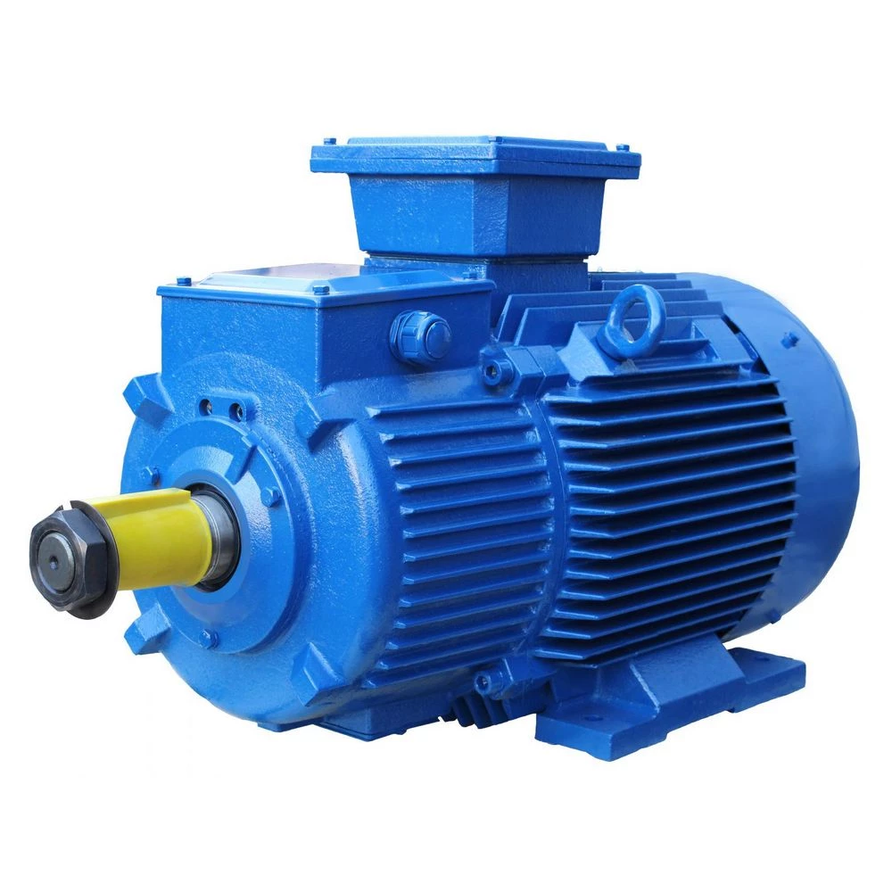 Электродвигатель ЭЛМАШ 4МТН 225L6-IM1004-55-967 трехфазный, монтажное исполнение IM1004, мощность 55 кВт, частота вращения ~ 967 об/мин, корпус - чугун